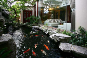 Đơn vị cung cấp dịch vụ thiết kế xây hồ cá koi nhỏ đẹp tại Bình Dương 