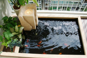 Có Nên Thiết Kế Hồ Cá Koi Mini Trên Sân Thượng