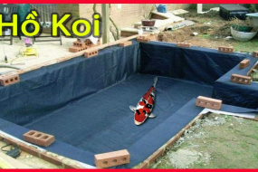 Tìm hiểu quy trình làm hồ cá koi bằng bạt cực đơn giản tại nhà