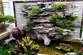 Mách Bạn Các Mẫu Thiết Kế Tiểu Cảnh Hồ Cá Koi Nhật Độc Đáo